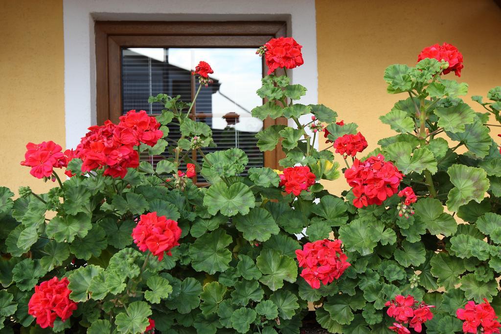 Apartmany Kanianka Bojnice Rom bilde